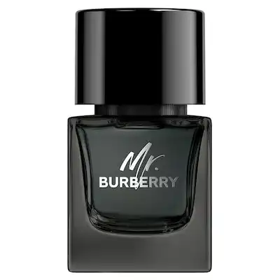 BURBERRY Mr. Burberry Black Eau de Parfum Spray 50 ml 50.0 ml - Burberry - Comparador de precios