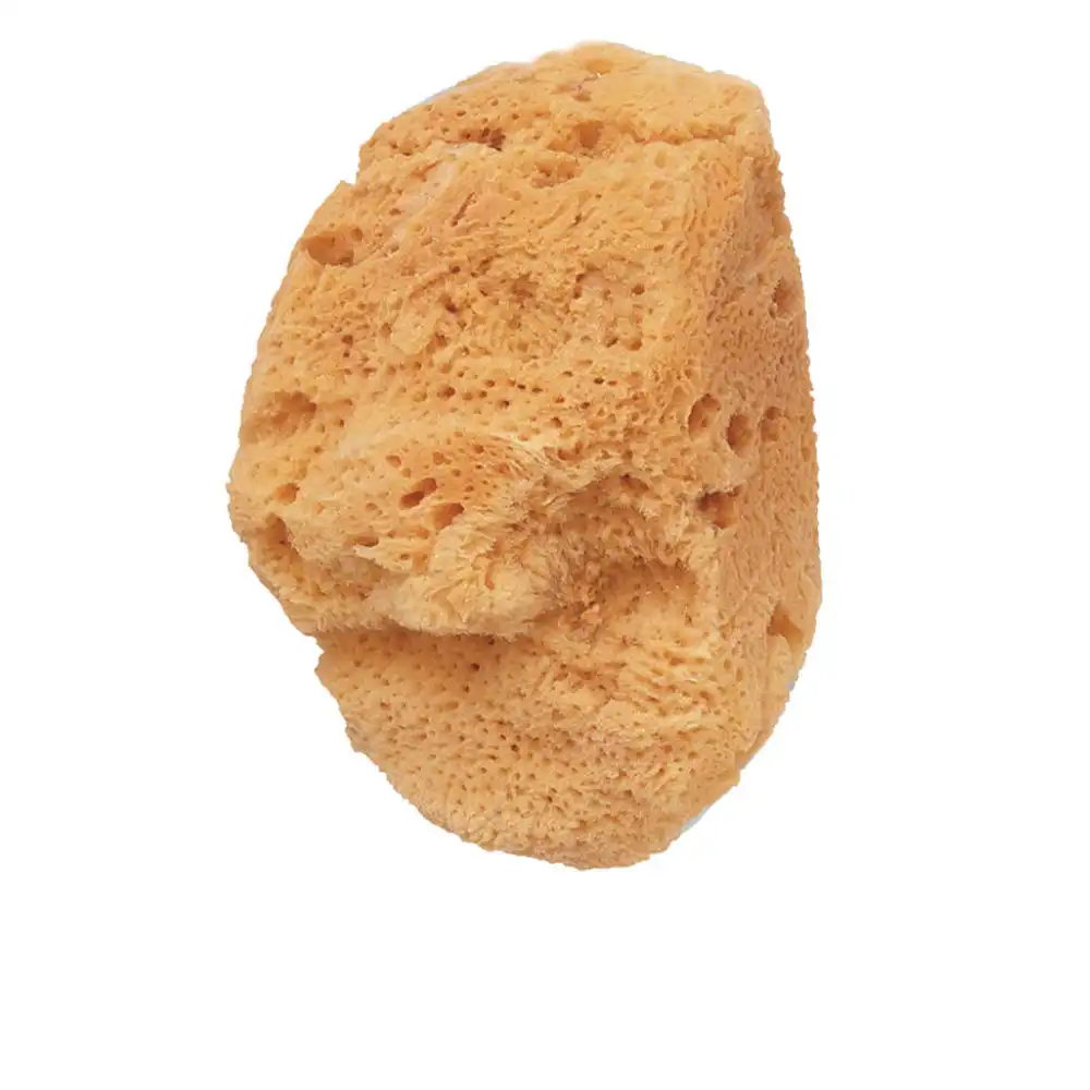 Esponja de baño natural marina 1 pz - Beter - Comparador de precios