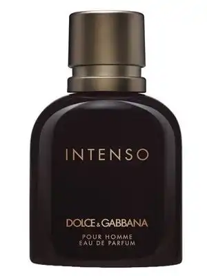 Intenso Pour Homme 75Ml - Dolce & Gabbana - Comparador de precios