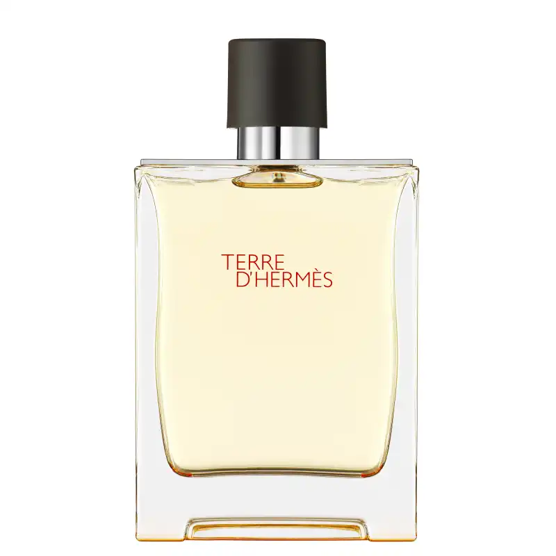 Terre D'hermÈs Eau De Toilette 500ml - Hermès - Comparador de precios