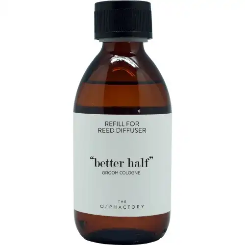 Ambientair Recambio Mikado Groom Cologne The Olphactory, 250 ml - Ambientair - Comparador de precios