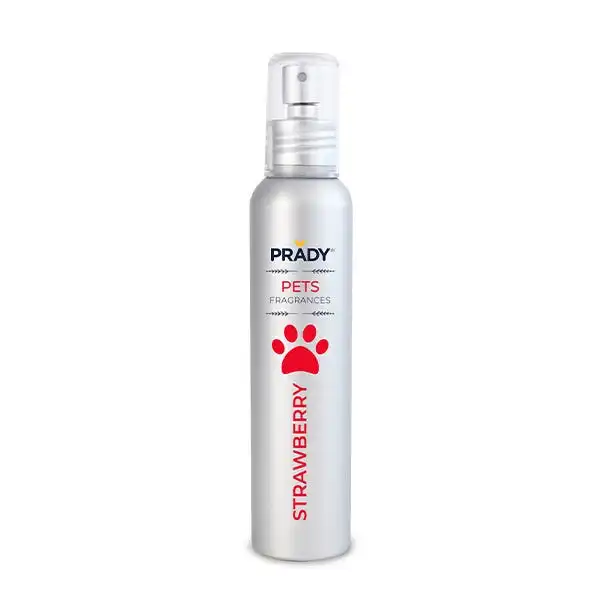 Strawberry Pets Fragances - EBCS - Comparador de precios