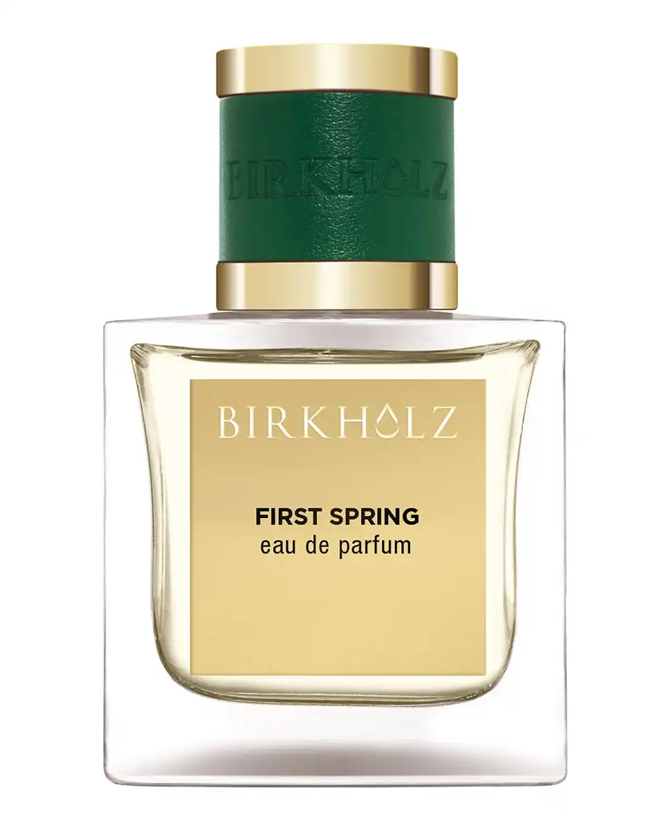 Eau De Parfum First Spring 100 Ml Birkholz - Birkholz - Comparador de precios