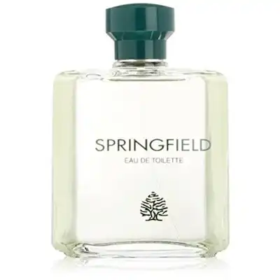 Springfield Colonia Vaporizador 200 ML 200.0 ml - Springfield - Comparador de precios