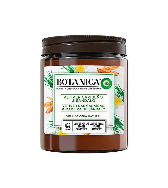 Air Wick - *BOTANICA by Air Wick* - Vela de cera natural perfumada - Vetiver Caribeño & Sándalo - Air wick - Comparador de precios