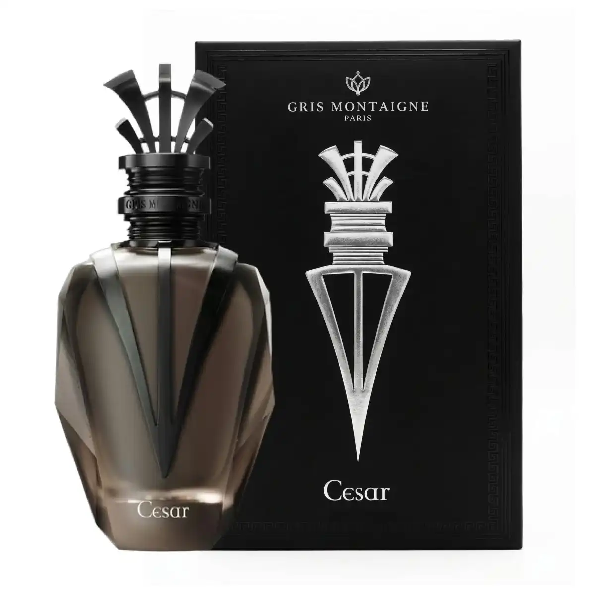 Extrait de Parfum César Perfume 100 ml - Gris Montaigne - Comparador de precios