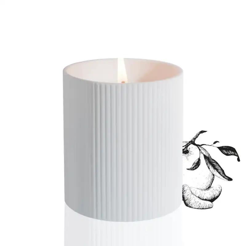 Bleu Mandarine Candle 250gr - Alex Simone - Comparador de precios