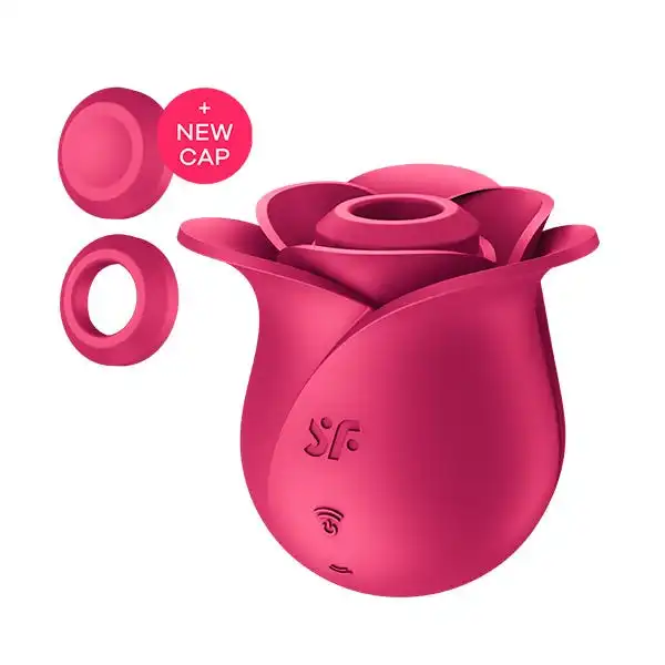 Pro 2 Rosa Moderna - SATISFYER - Comparador de precios