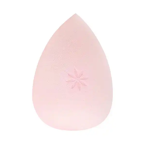 Complexion Sponge - Brushworks - Comparador de precios