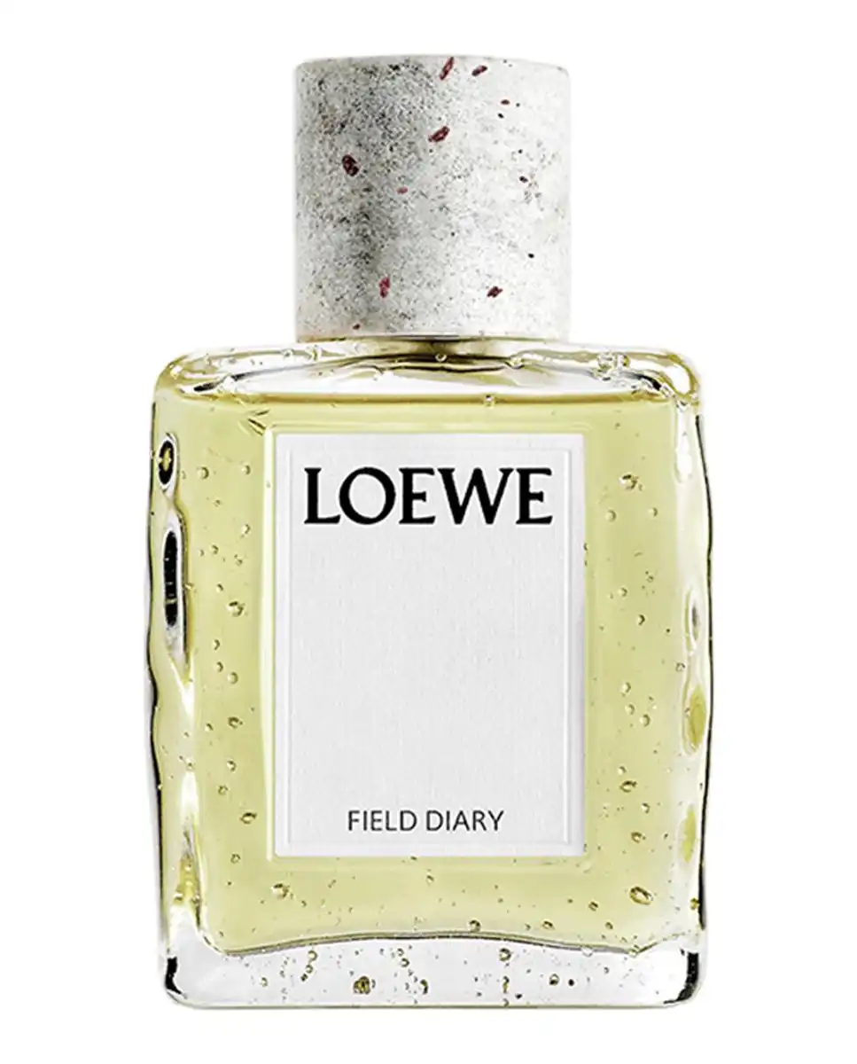 Field Diary Eau de Parfum 100 Ml - Loewe - Comparador de precios
