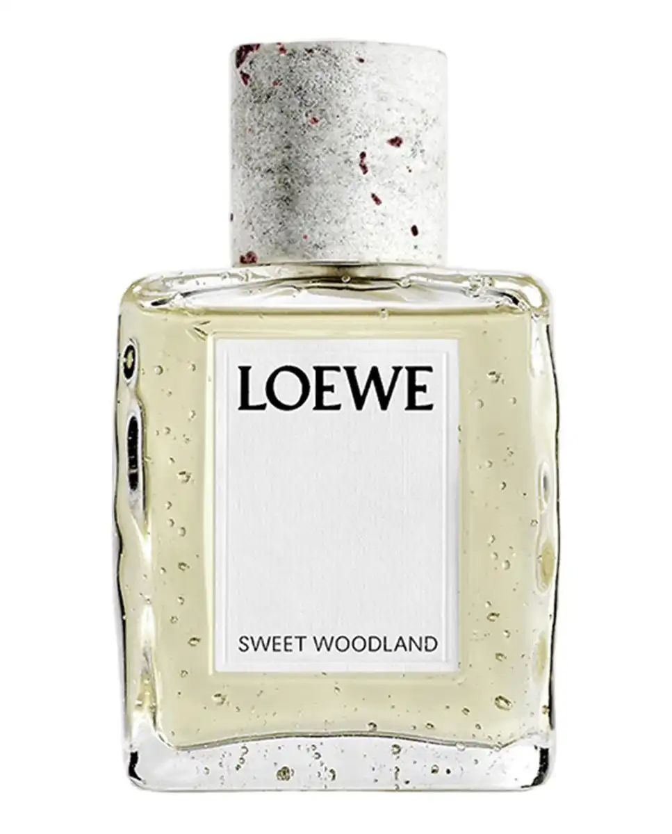 Sweet Woodland Eau de Parfum 100 Ml - Loewe - Comparador de precios
