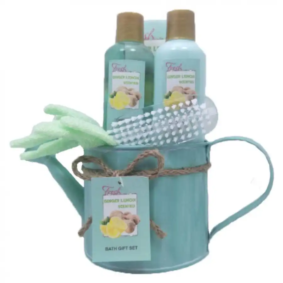 Pokhara - Estuche Baño Regadera Metálica Verde XMAS22 Sets de baño y spa 1 pieces unisex - Pokhara - Comparador de precios
