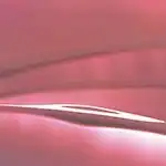 Lip Polish Barra de Labios 037 - ROSEWOOD - ZAO - Comparador de precios