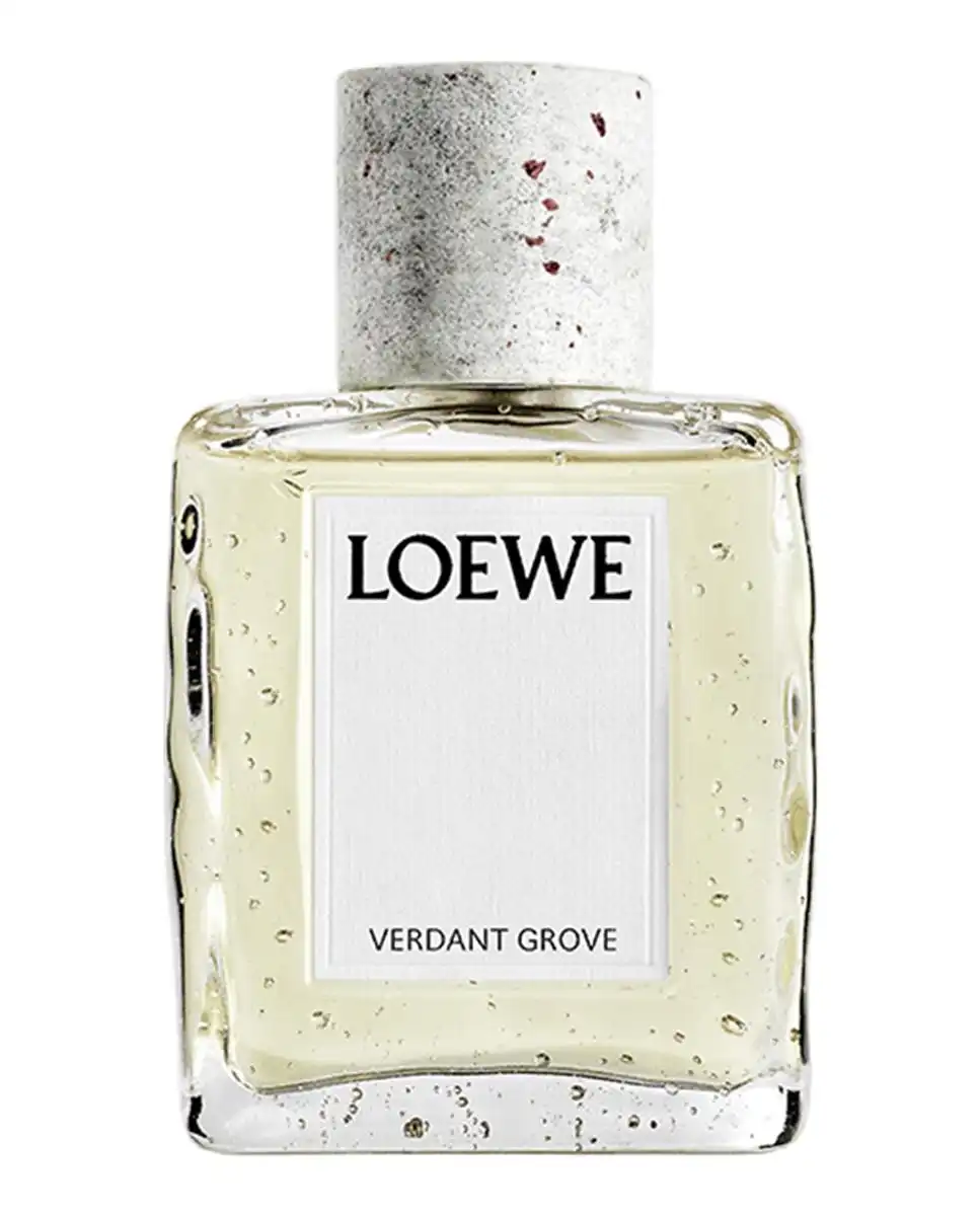 Verdant Grove Eau de Parfum 100 Ml - Loewe - Comparador de precios