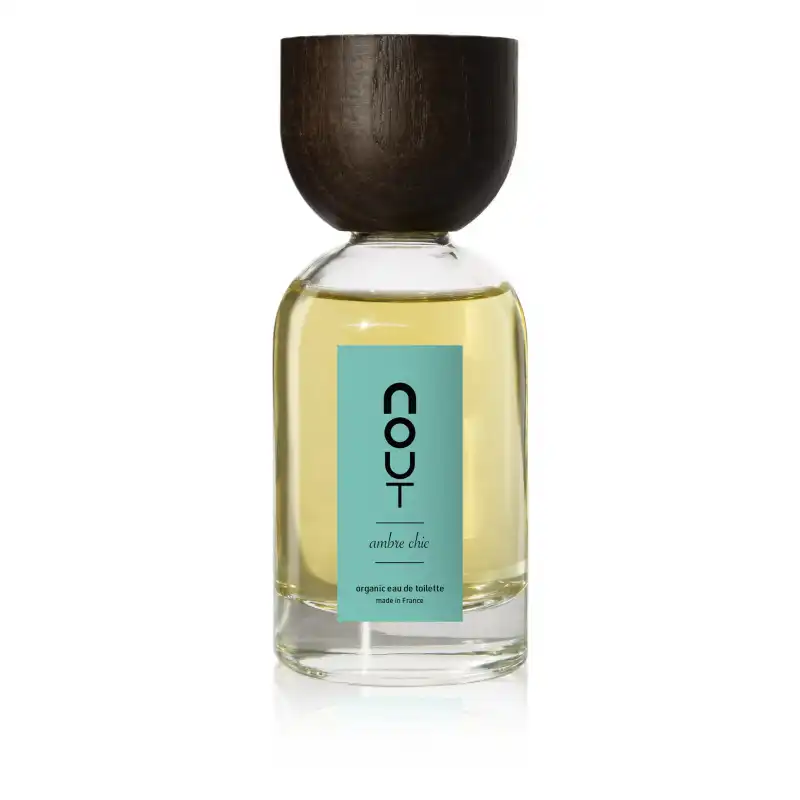 Ambre Chic Eau De Toilette 100ml - Nout - Comparador de precios