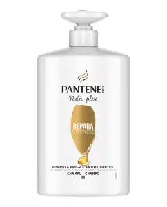 Pantene - Champú Repara & Protege Nutri Pro-V + Antioxidantes