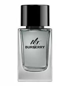 Burberry - Eau De Toilette Mr. 100 Ml