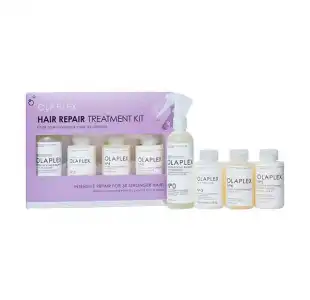 Hair Repair Treatment Kit