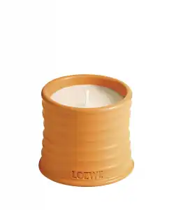 LOEWE - Vela Candle S Orange Blossom