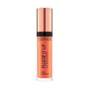 Lip Booster Labi Plump It Up 70