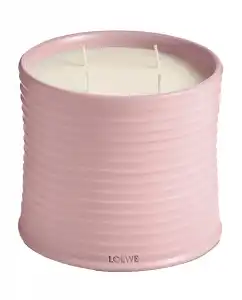 LOEWE - Vela Aromática Home Scents Ivy L