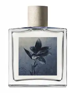 AllSaints - Eau De Parfum Concrete Rain 100 Ml