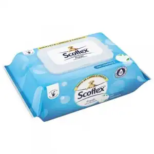 Scottex Fresh 1 und Toallitas Humedas