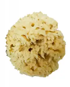 Relax Nature - Esponja Natural Blanchi Grande